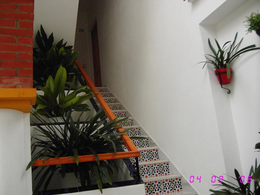 Apartamentos Los Arcos El Bosque Pokój zdjęcie